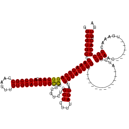secondary structure
