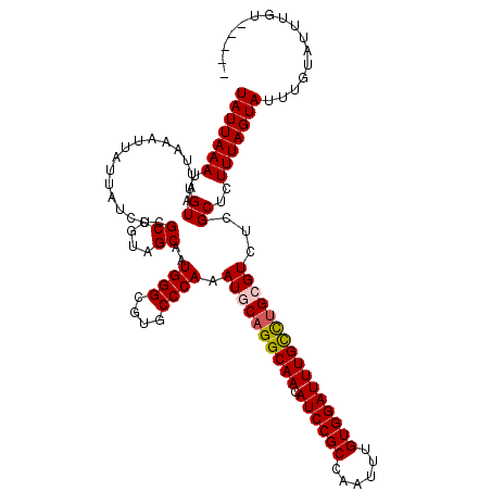secondary structure