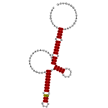 secondary structure