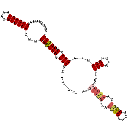 secondary structure