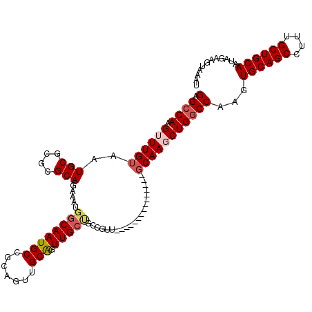 secondary structure