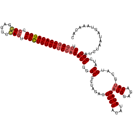 secondary structure