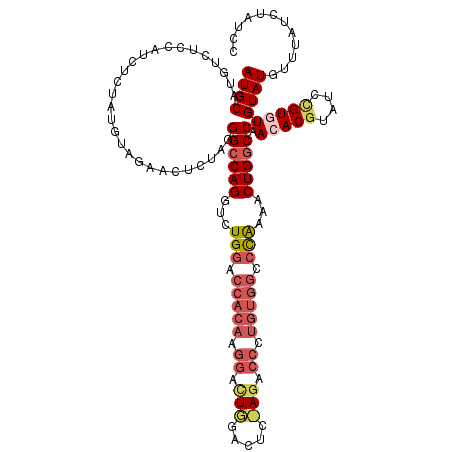 secondary structure