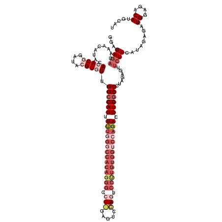 secondary structure