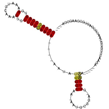secondary structure
