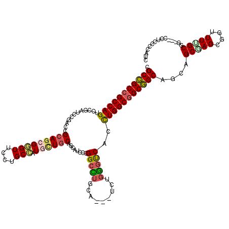 secondary structure