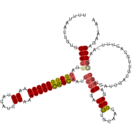 secondary structure