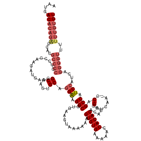 secondary structure