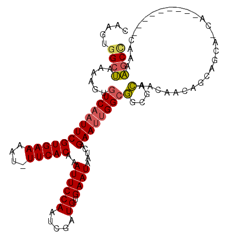 secondary structure