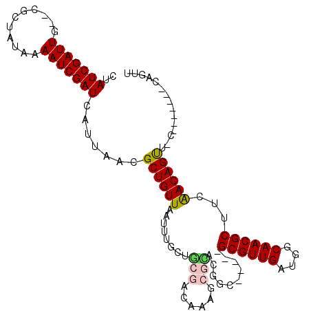 secondary structure