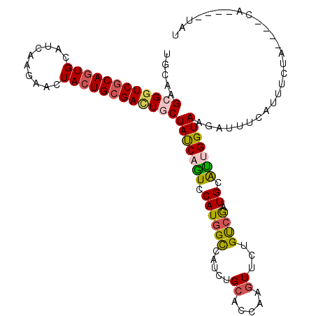 secondary structure