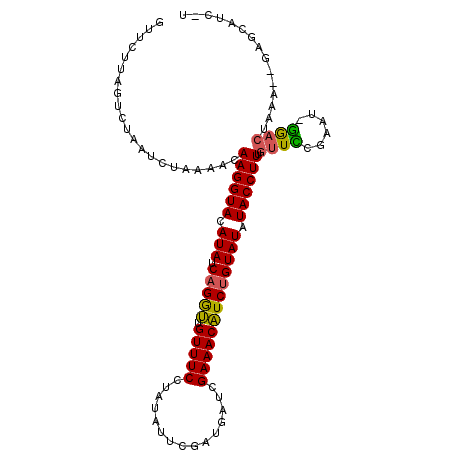 secondary structure