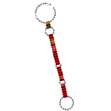 secondary structure