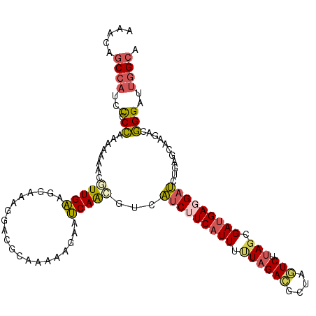 secondary structure