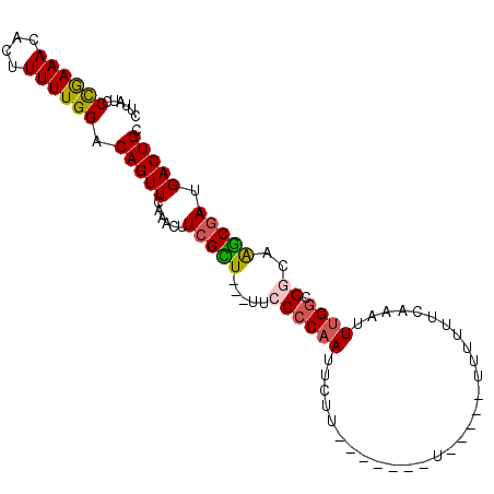 secondary structure
