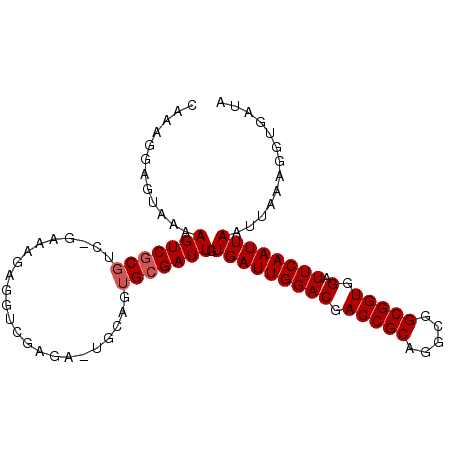 secondary structure