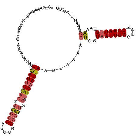 secondary structure