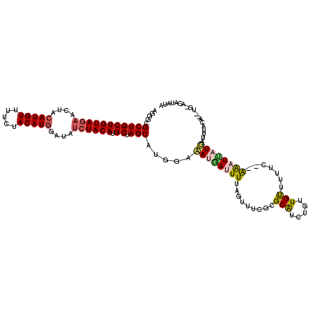secondary structure