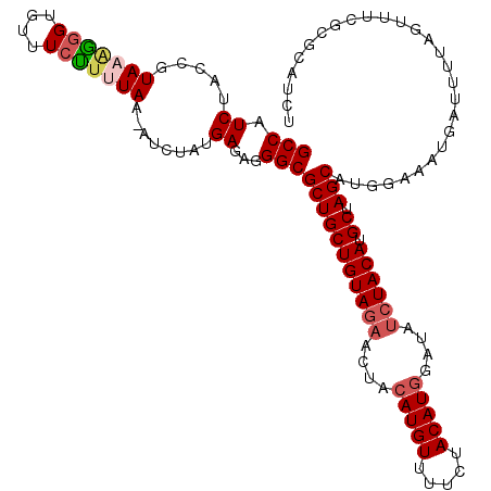 secondary structure
