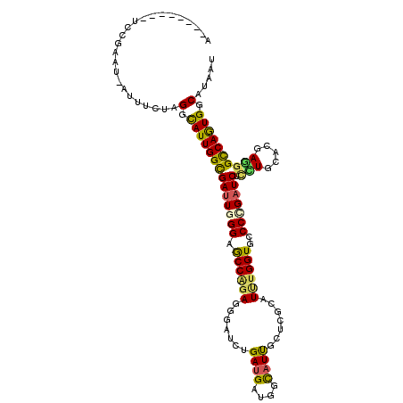 secondary structure