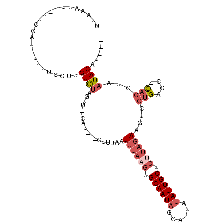 secondary structure