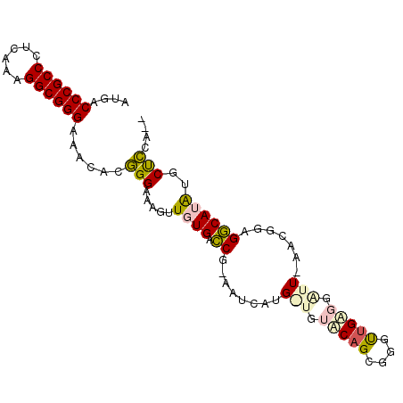 secondary structure