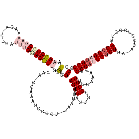 secondary structure