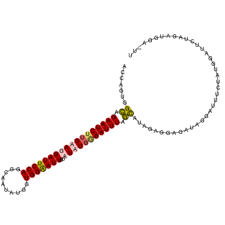 secondary structure