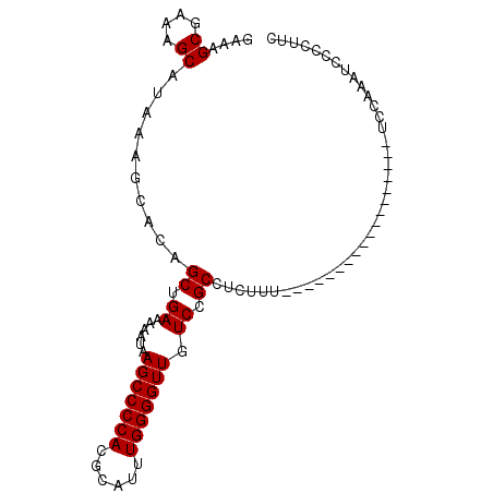secondary structure