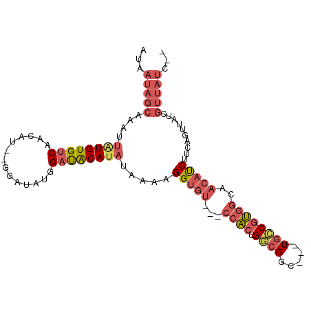 secondary structure