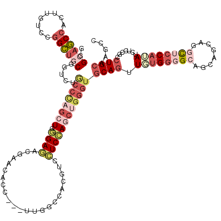 secondary structure