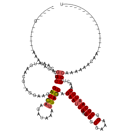 secondary structure