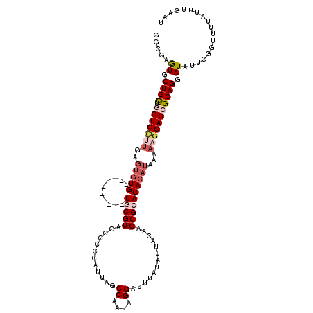 secondary structure