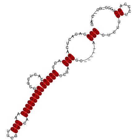 secondary structure