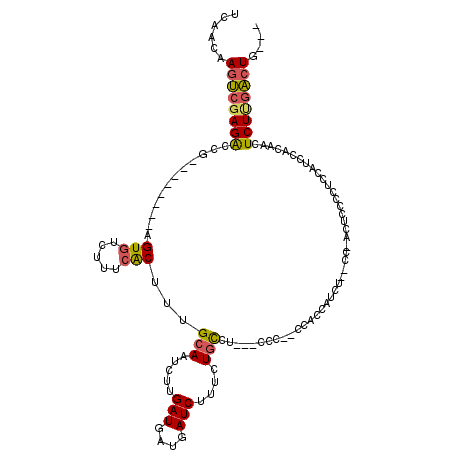 secondary structure