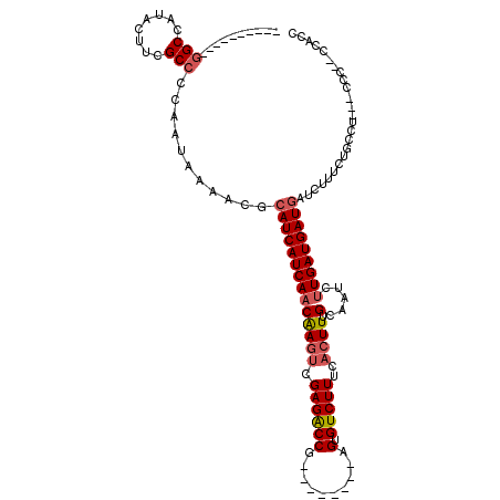 secondary structure