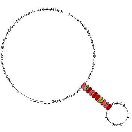 secondary structure