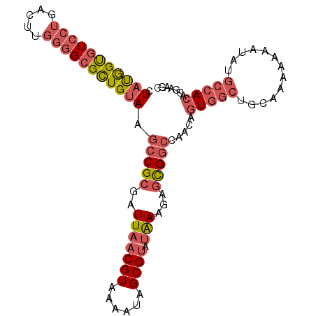 secondary structure