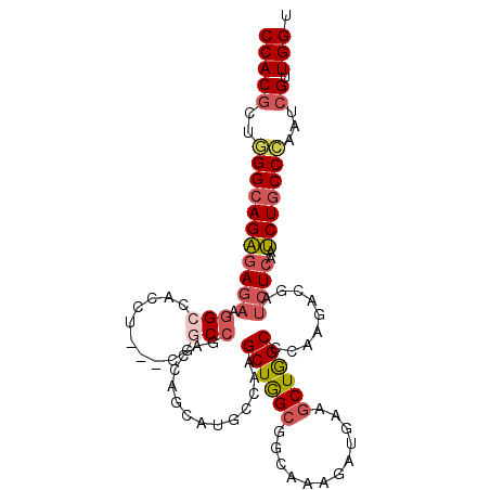 secondary structure