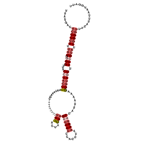secondary structure