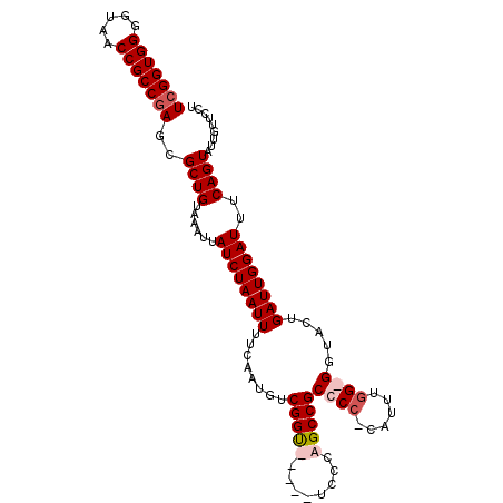 secondary structure