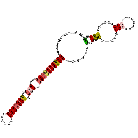 secondary structure