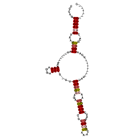 secondary structure