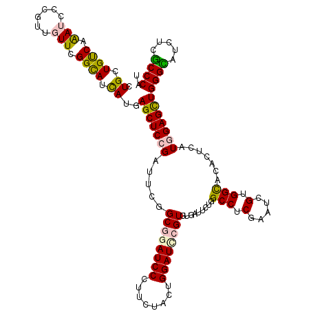 secondary structure