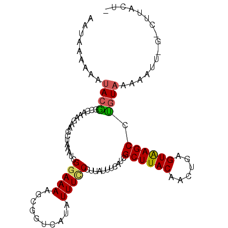 secondary structure