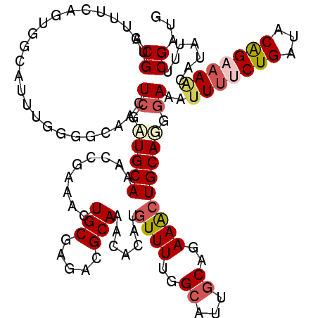 secondary structure