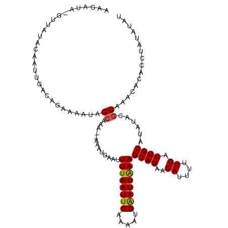 secondary structure