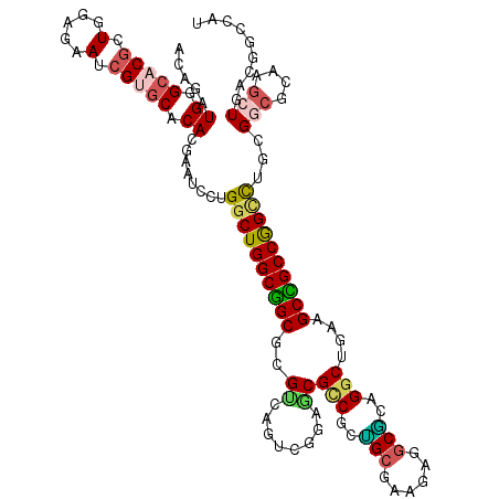 secondary structure