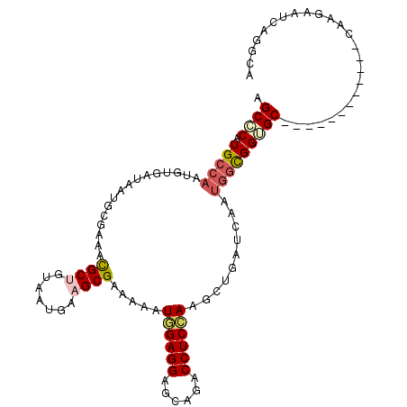 secondary structure
