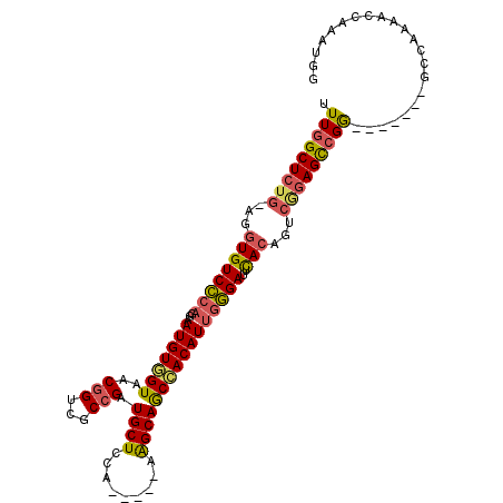 secondary structure